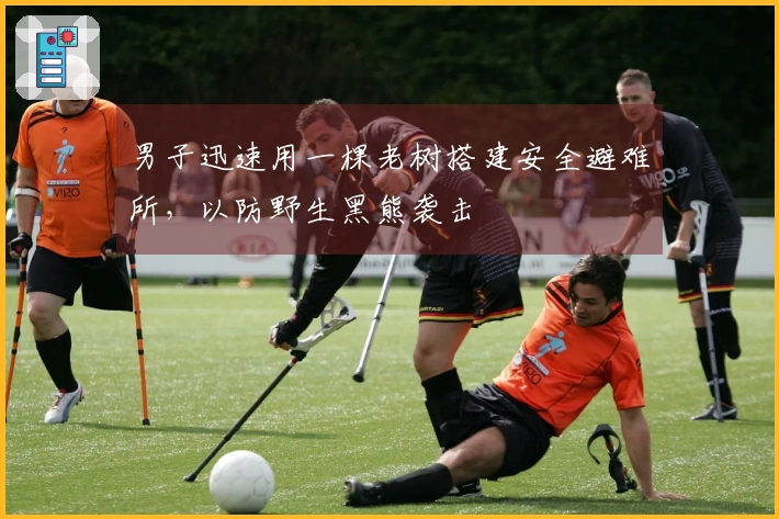 男子迅速用一棵老树搭建安全避难所，以防野生黑熊袭击