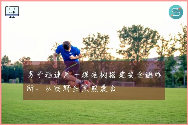 男子迅速用一棵老树搭建安全避难所，以防野生黑熊袭击