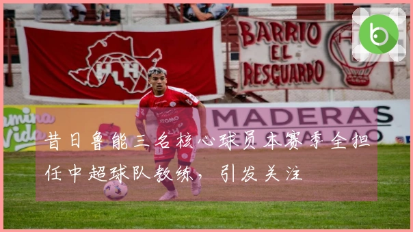 昔日鲁能三名核心球员本赛季全担任中超球队教练，引发关注